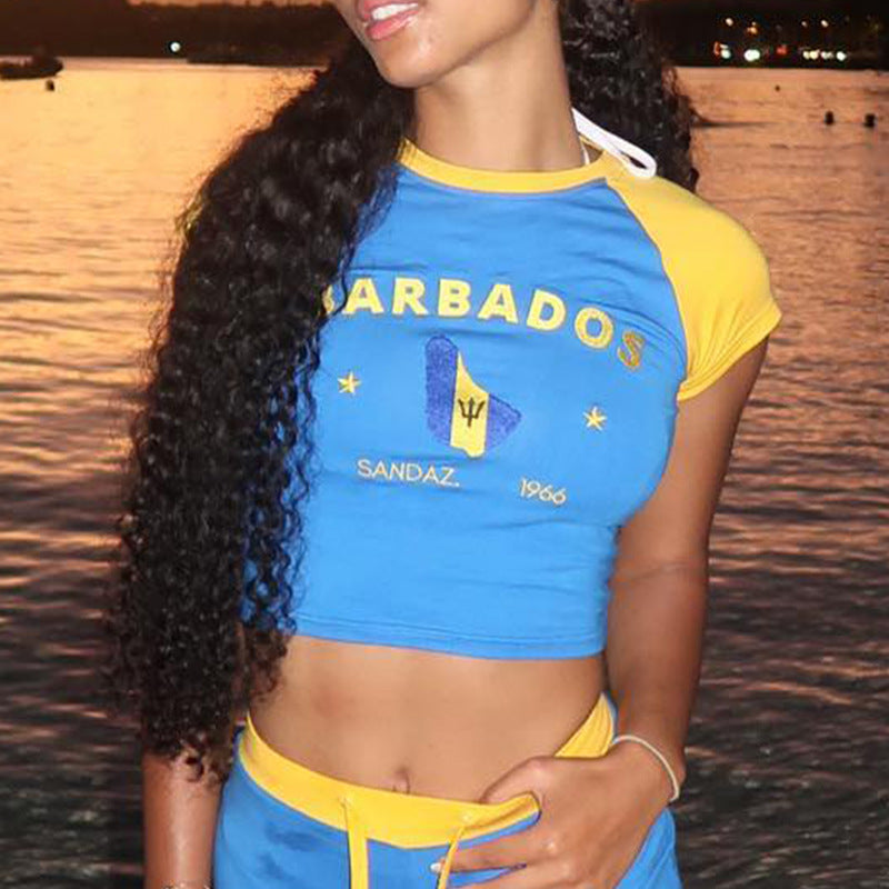Graphic Crop Top in Y2K Contrast-Trim Styles - blue Barbados raglan crop top front